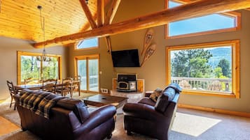 TV, fireplace, video games