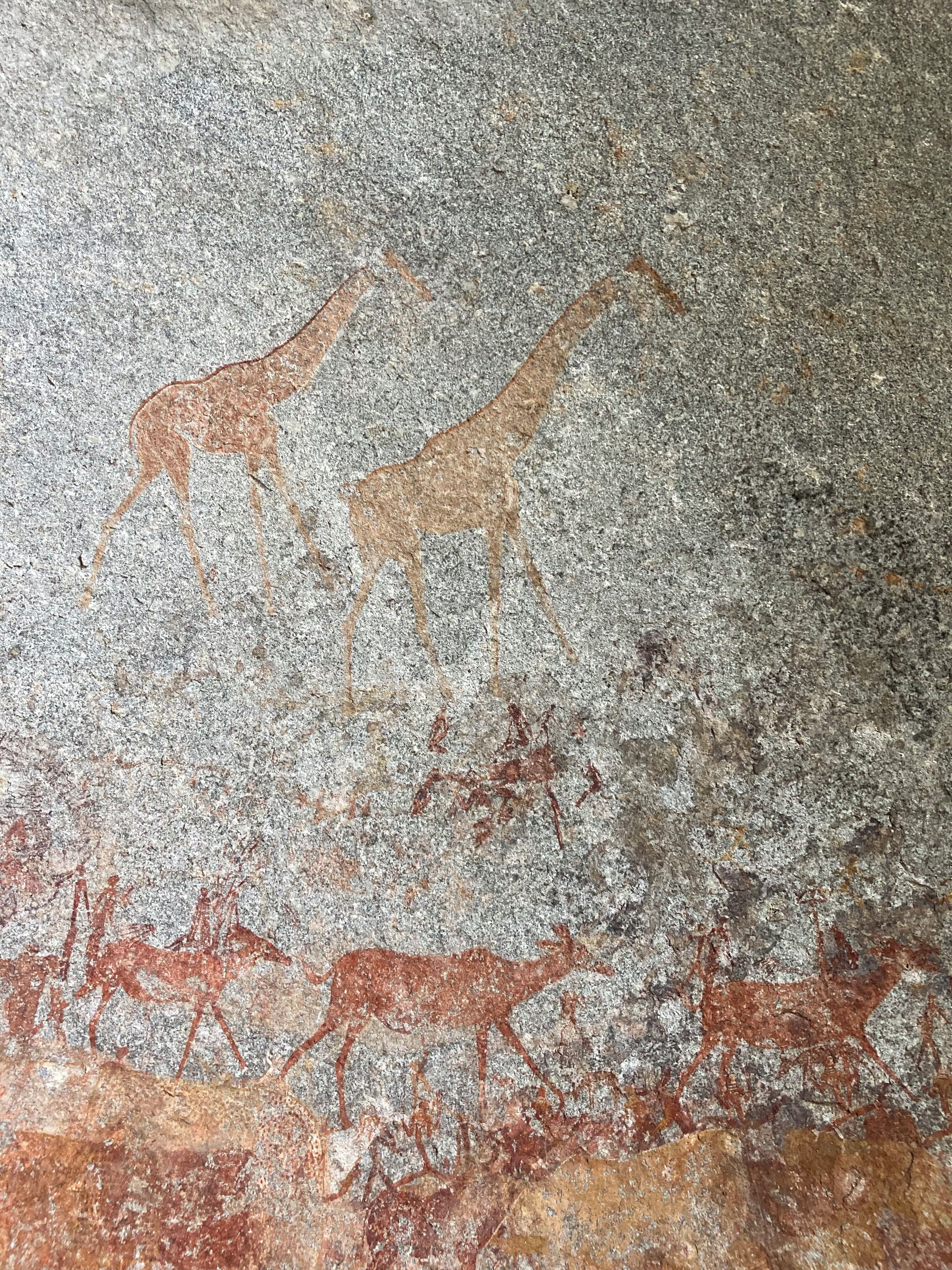 A cave wall with ancient cave paintings of animals and human figures.