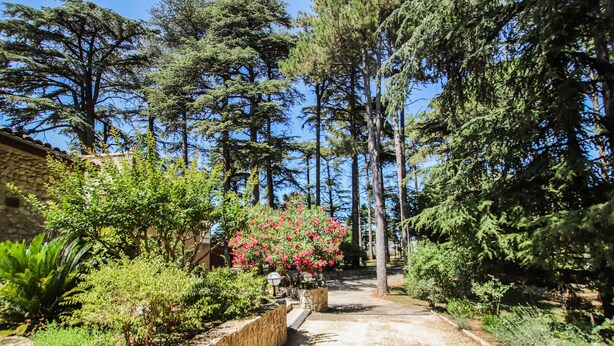 A pathway leading through a garden with various plants and trees. - Amazing home in Saulce sur Rhône (Saulce sur Rhône)