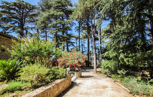 Property grounds - Beautiful home in Saulce sur Rhône (Saulce sur Rhône)