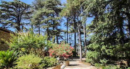 Belle maison Ă Saulce sur RhĂŽne