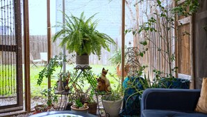 A cozy indoor space with a variety of potted plants, a cat statue, and a blue sofa.