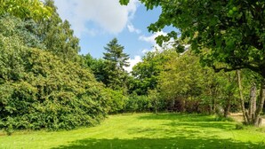 A lush green park with dense trees and a well-maintained grassy area. - Swift Host Barn Cottage Rural Barn near the Norfolk Broads (Norfolk Broads)