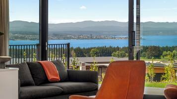 Smart TV, fireplace, stereo, computer monitors