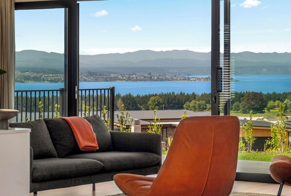 Smart TV, fireplace, stereo, computer monitors