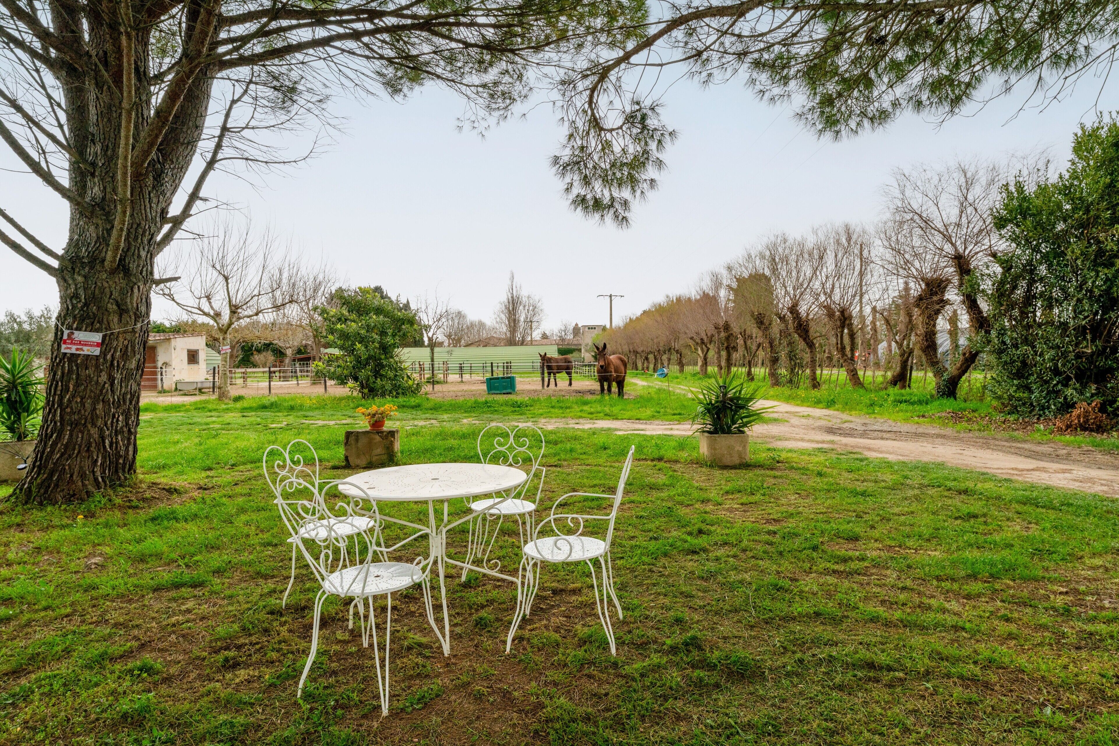 Opções para refeição ao ar livre