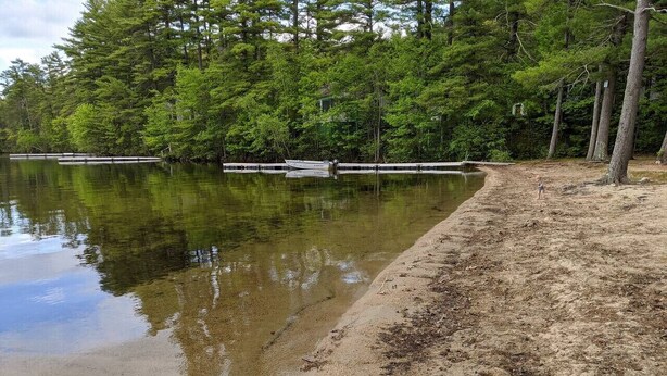 A sandy beach with a calm lake, surrounded by dense green trees. - Hawthorne Cottages Edgewater (Raymond)