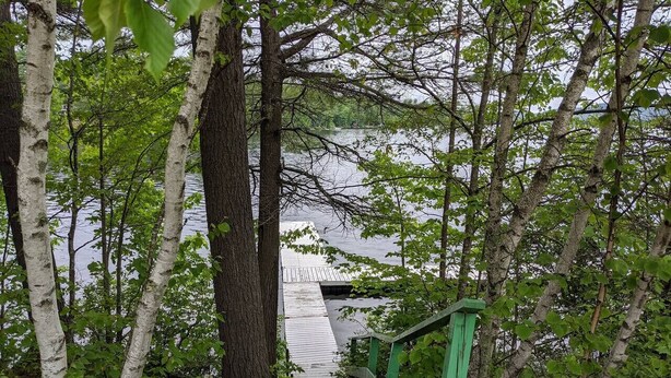 A wooden staircase leading to a dock over a body of water, surrounded by trees. - Hawthorne Cottages Lakeside (Raymond)