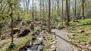 A forested area with a small stream, a gravel path, and outdoor seating.