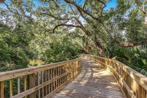 Property grounds - Golden Lagoon - Hosted by Moore AI Rentals (Fernandina Beach)