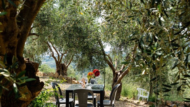 An outdoor dining area with a table and chairs, surrounded by olive trees and a view of the countryside. - Olive Lodge by Interhome (Civezza)