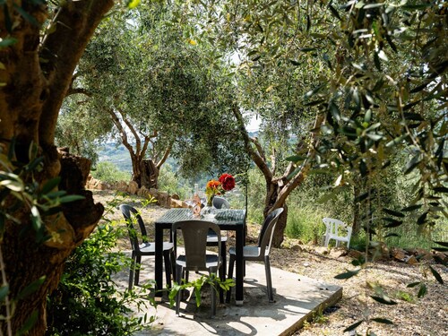 Olive Lodge by Interhome