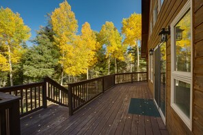 Une terrasse en bois dotée d’une rambarde, qui offre une vue sur une forêt aux arbres aux couleurs automnales.