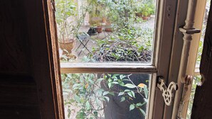 Vista a través de una puerta de madera con manija de metal, que da a un jardín con plantas en macetas y una pequeña mesa.