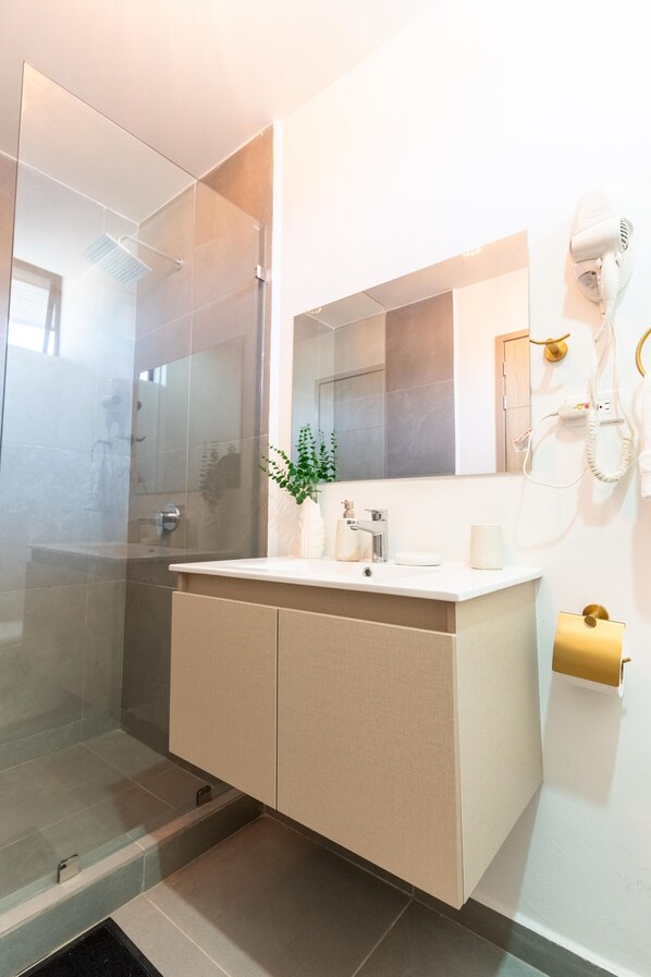 A modern bathroom with a glass shower enclosure, a white sink, and a mirror above it.