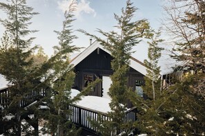 Exterior - Slopes/ Views/ Hot Tub /Privacy / Style (Big Bear Lake)