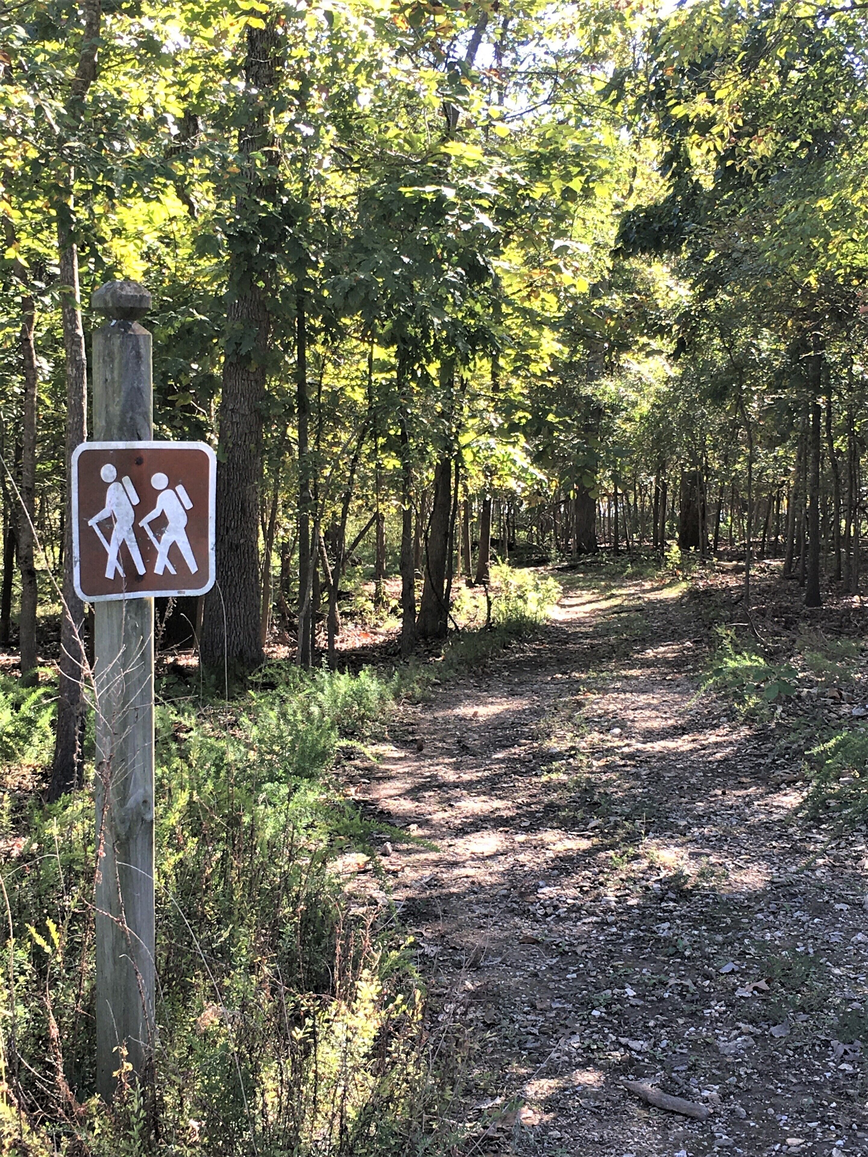 Nearly 1-mile of lakefront at the Resort and 7-miles of walking trails on Indian Point