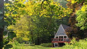 A house surrounded by lush greenery and a well-maintained lawn.