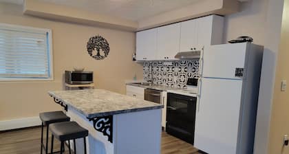 Charming 2-bedroom duplex apartment with WiFi in Fairbanks