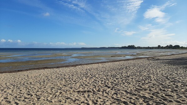 Beach nearby, sun loungers - OSTSEE-Ferienhaus Ramona, close to the beach (Hohenkirchen)