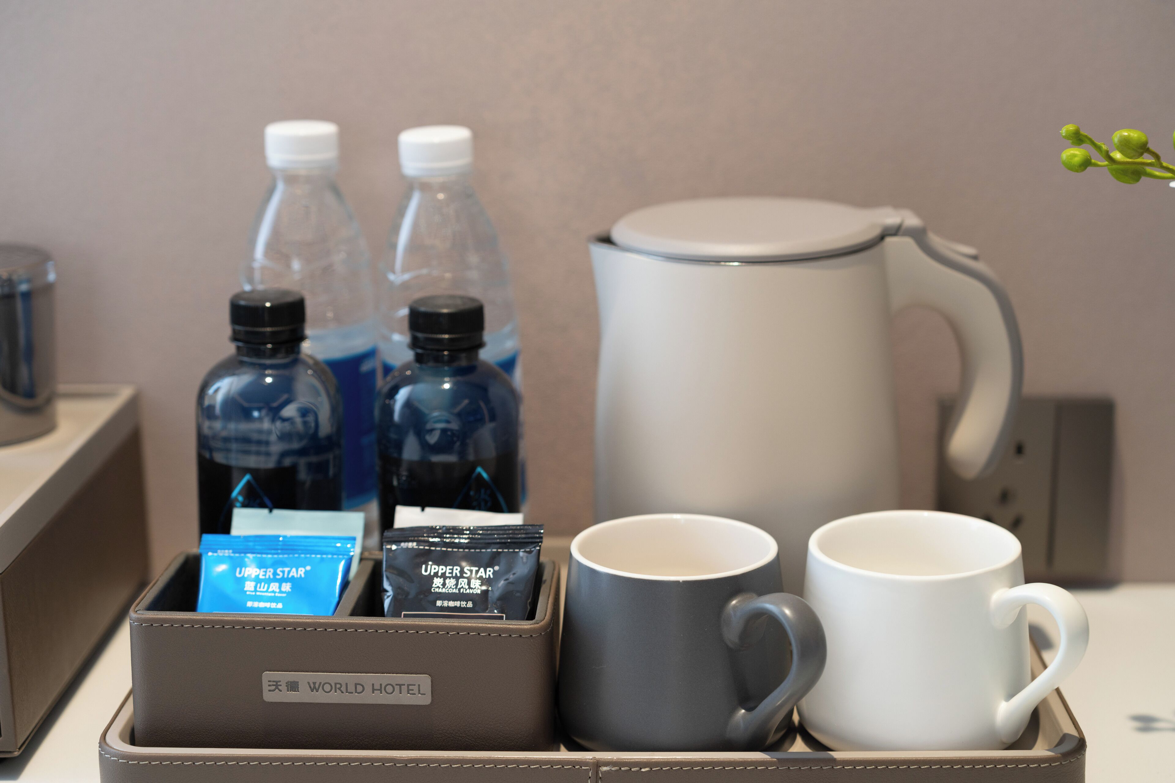 A hotel room's breakfast tray with a coffee maker, two mugs, and two bottles of water.