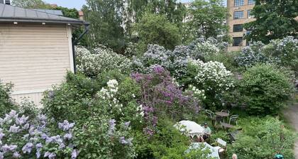 Unique Helsinki experience