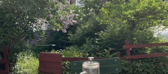 Unique Helsinki experience