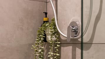 A bathroom with a shower, a soap dispenser, and a potted plant.