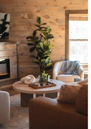 Smart TV, fireplace, books
