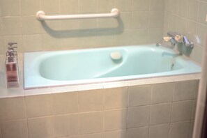Deluxe appartement | Badkamer | Een haardroger, handdoeken, shampoo, toiletpapier