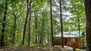 Une cabane entourée de grands arbres, au cœur d’une forêt.