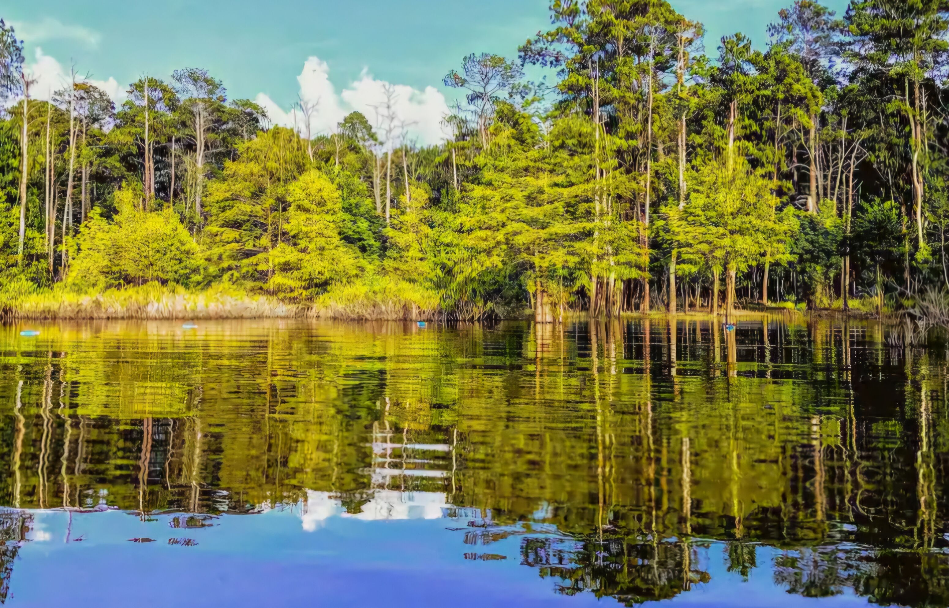 A serene lake surrounded by dense forest with tall trees and clear reflections on the water.
