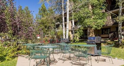 Steamboat Springs CO Condos