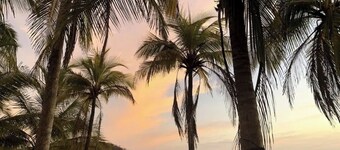 Tranquil retreat on coastal route. By sand, surf, river, & jungle. Perfect vibe.