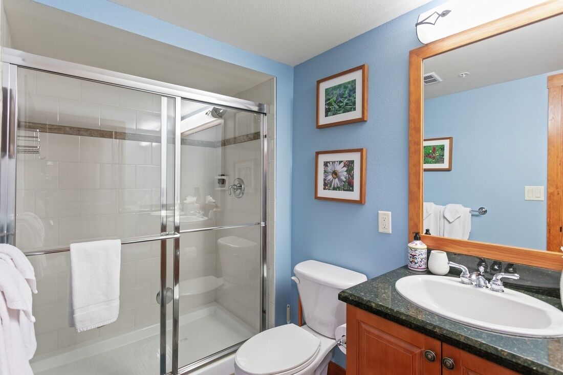 Un baño con ducha de vidrio, un inodoro blanco, un lavabo con espejo y cuadros enmarcados en la pared.