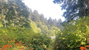 A garden path with a stone bench, surrounded by dense foliage and vibrant orange flowers.