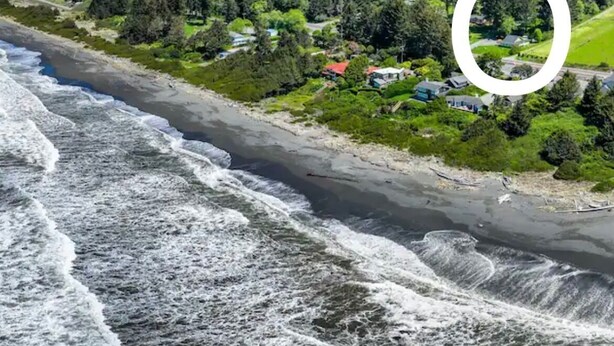 A coastal landscape with a river, houses, and a forested area.