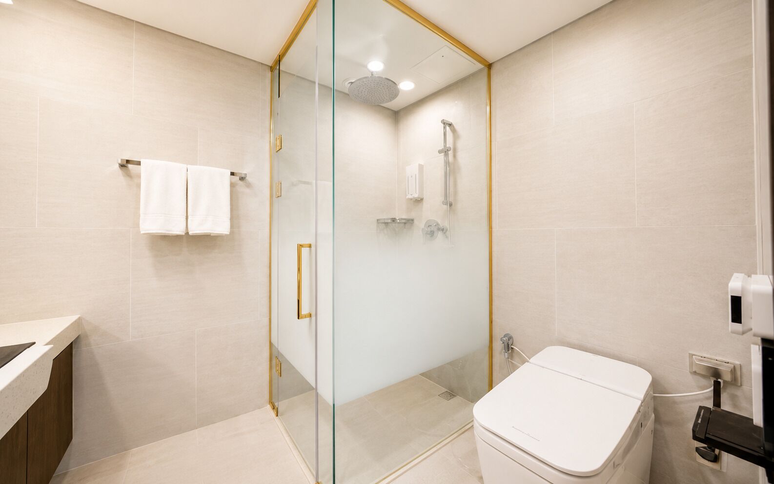 Un baño moderno con ducha envuelta en vidrio, inodoro y lavabo.