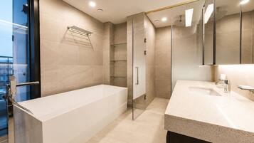 Hair dryer, towels, toilet paper