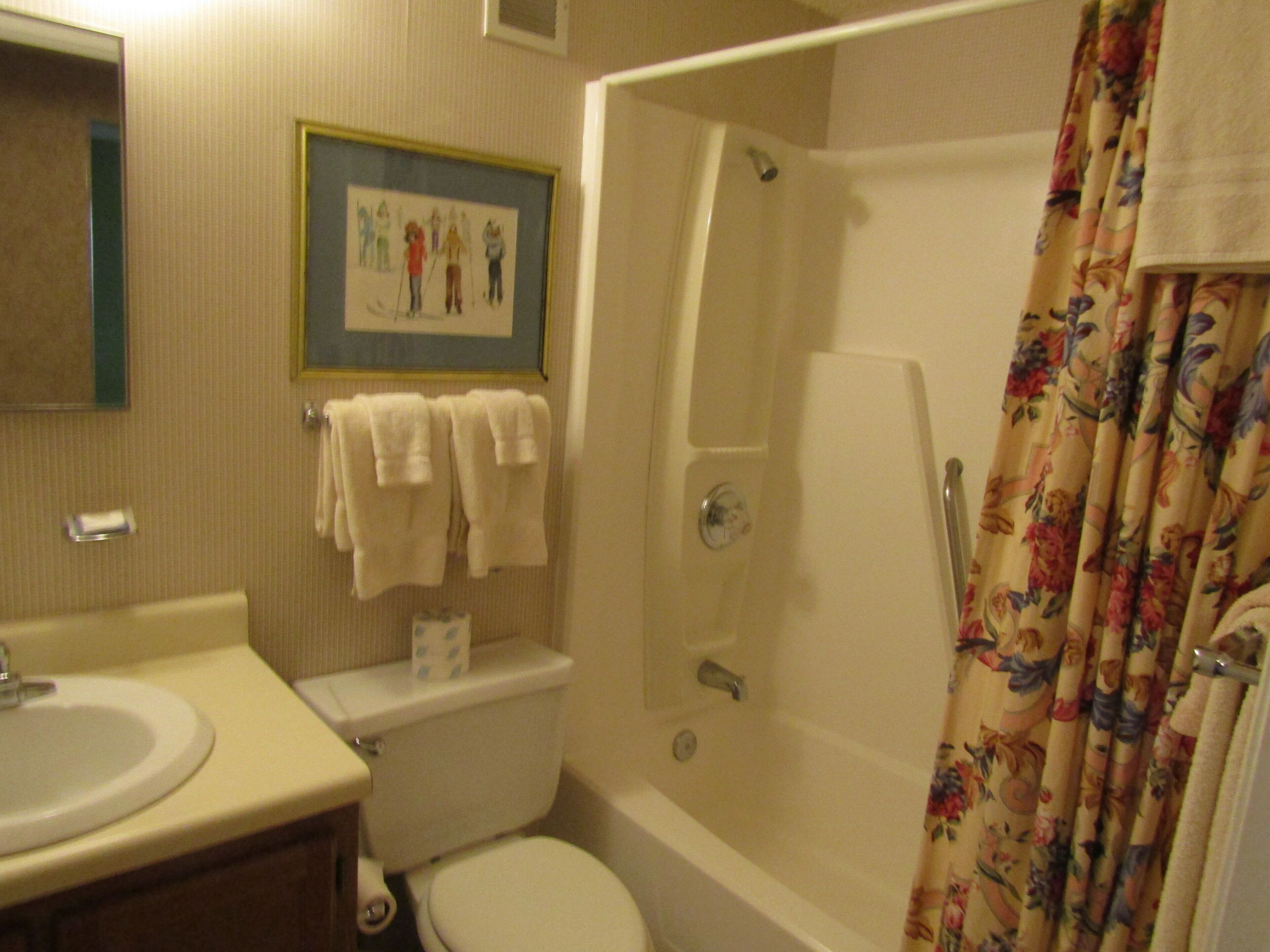 Une salle de bain avec un lavabo, des toilettes, une douche et un tableau encadré au mur.