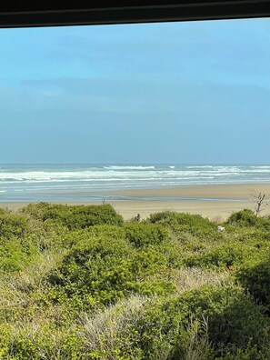En la playa, camastros y toallas de playa 