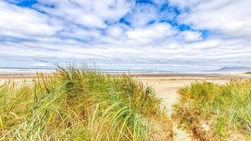 ビーチ、サンラウンジャー、ビーチタオル