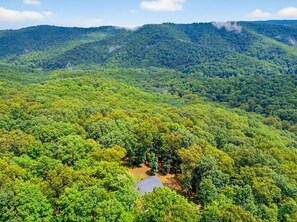 星評価なしの画像、5 / 54、ボタン