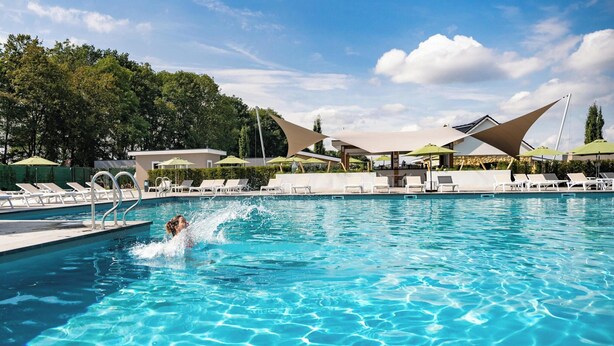 Une piscine entourée d’arbres, avec des chaises longues et des parasols, sous un ciel dégagé.