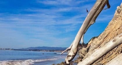 Soul & Sea #1 – East Beach Guesthouse