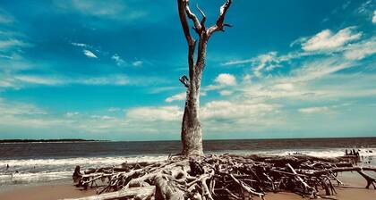Soul & Sea #1 ~ Charming Boutique East Beach Guesthouse