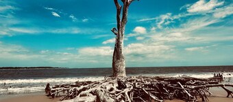 Soul & Sea #1 ~ Charming Boutique East Beach Guesthouse