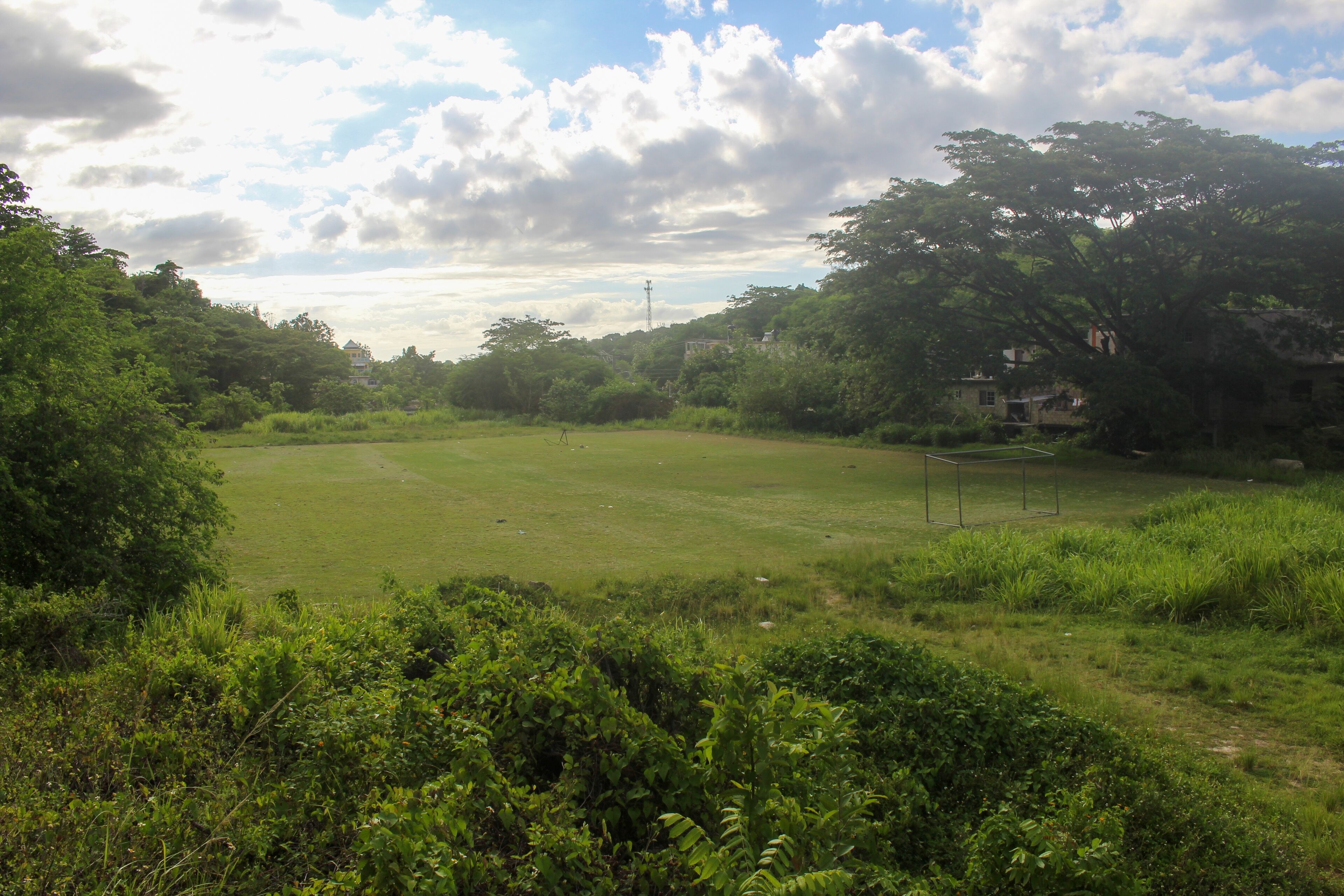 A grassy field with a soccer goal, surrounded by dense greenery and trees.