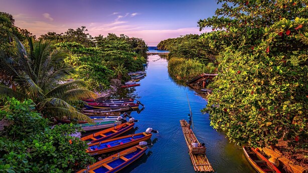 A river with boats docked on both sides, surrounded by lush greenery.