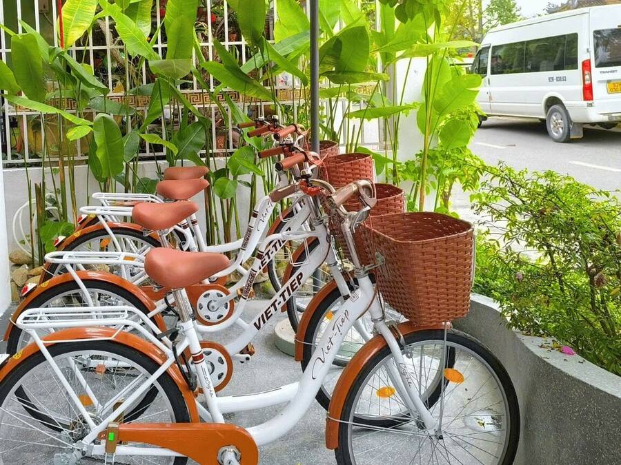 A row of vintage bicycles with baskets, parked in an outdoor area with greenery and a white van in the background.